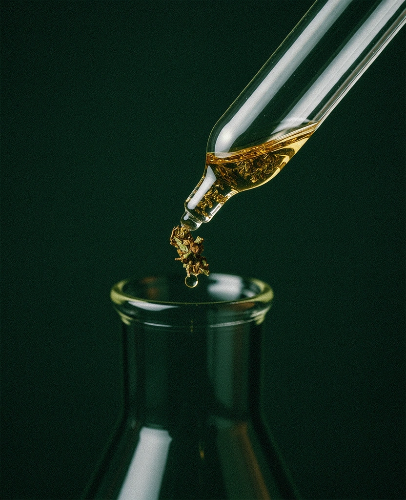 Processus d'extraction botanique